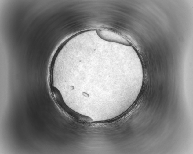 X0000095681136200802051246