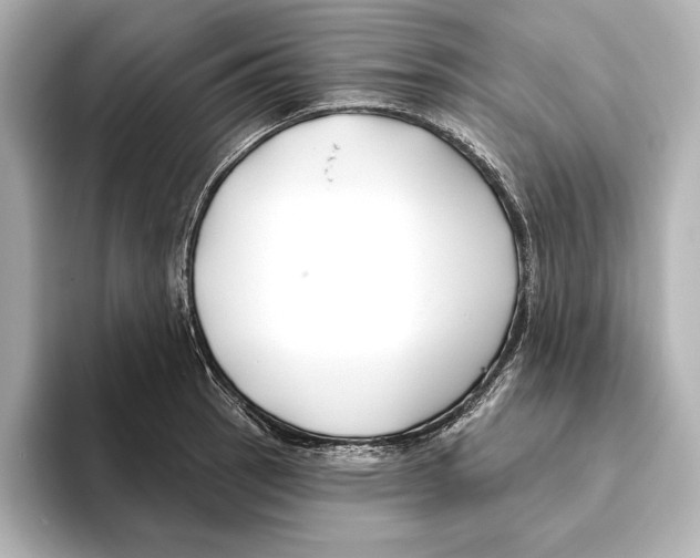 X0000095681137200802051246