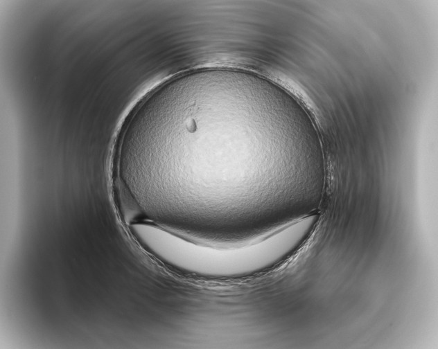 X0000095681138200802051246