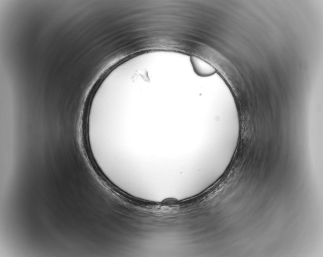 X0000095681139200802051246