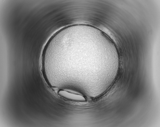 X0000095681140200802051246