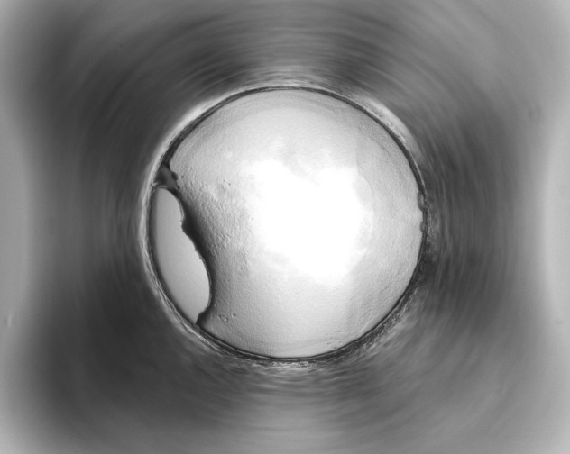 X0000095681144200802051246