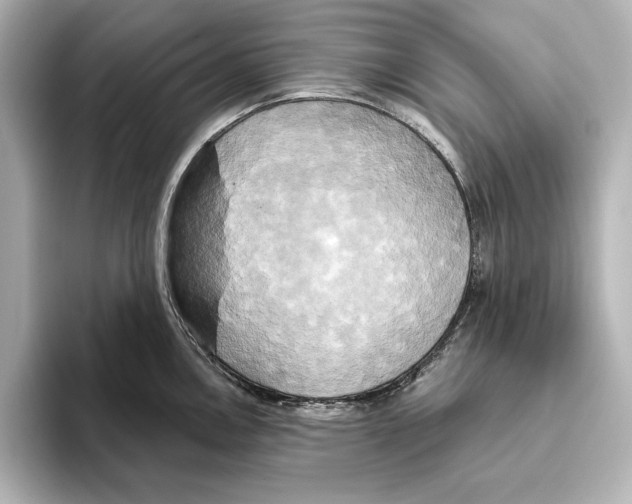 X0000095681146200802051246