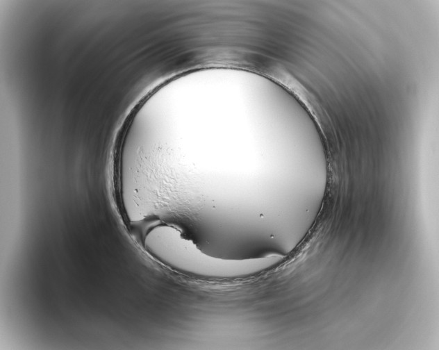 X0000095681147200802051246