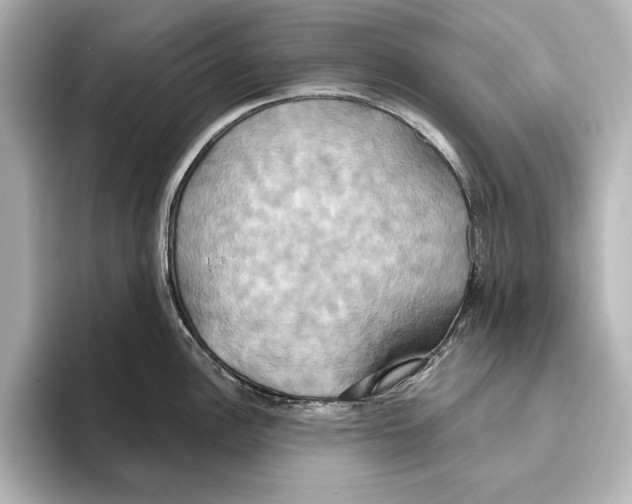 X0000095681148200802051246