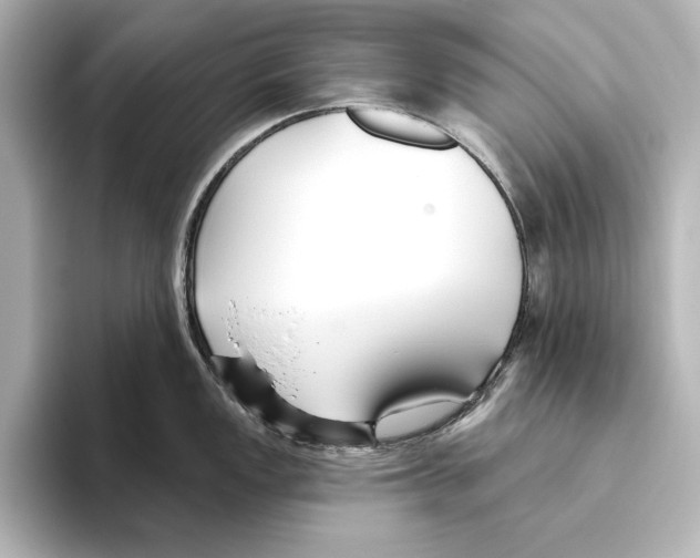 X0000095681149200802051246