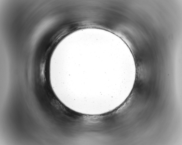 X0000095681150200802051246