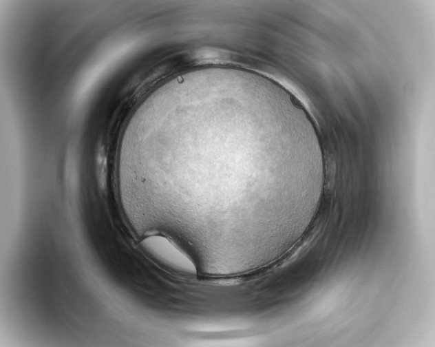 X0000095681151200802051246