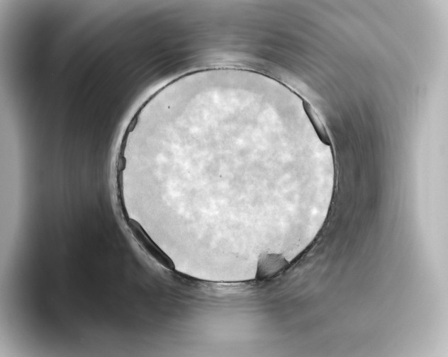 X0000095681152200802051246