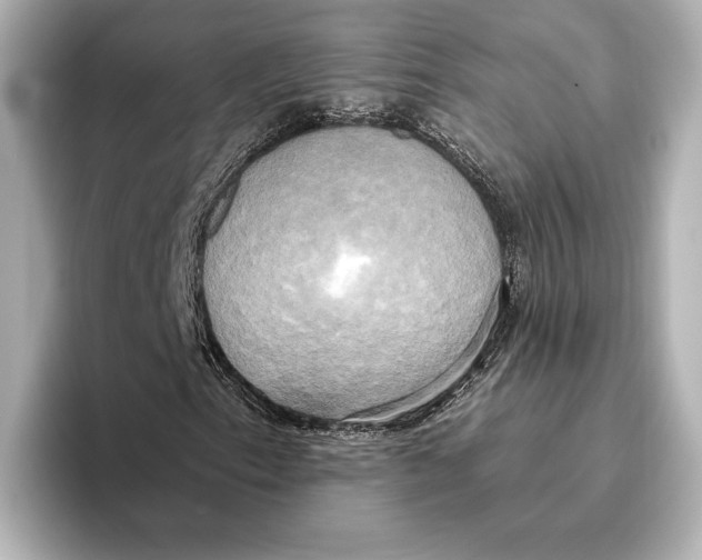 X0000095681153200802051245