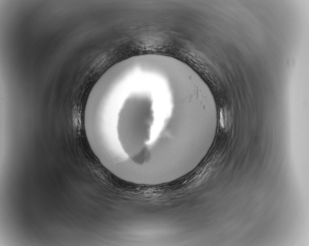 X0000095681155200802051245