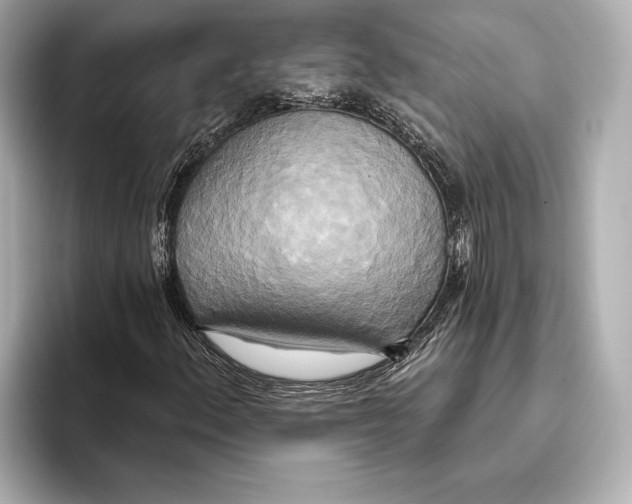 X0000095681156200802051245