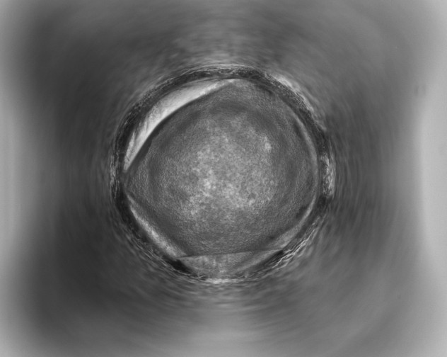 X0000095681157200802051245