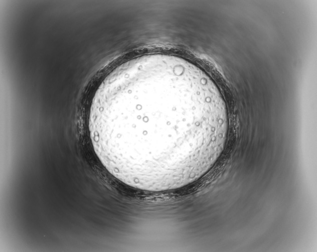 X0000095681159200802051245