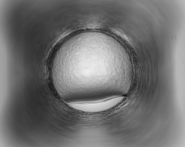 X0000095681160200802051245