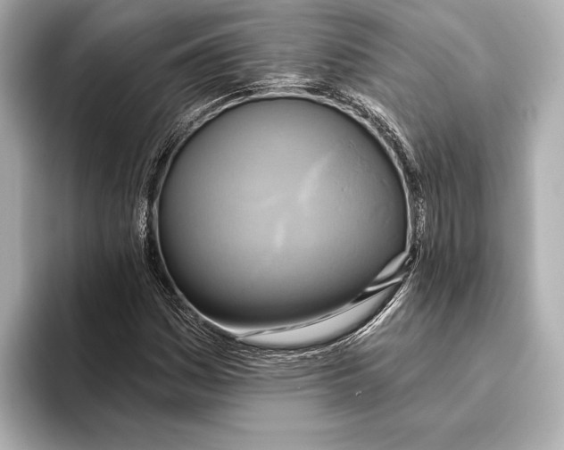 X0000095681161200802051245