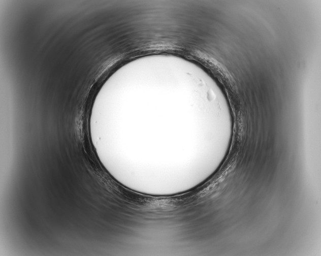 X0000095681162200802051245