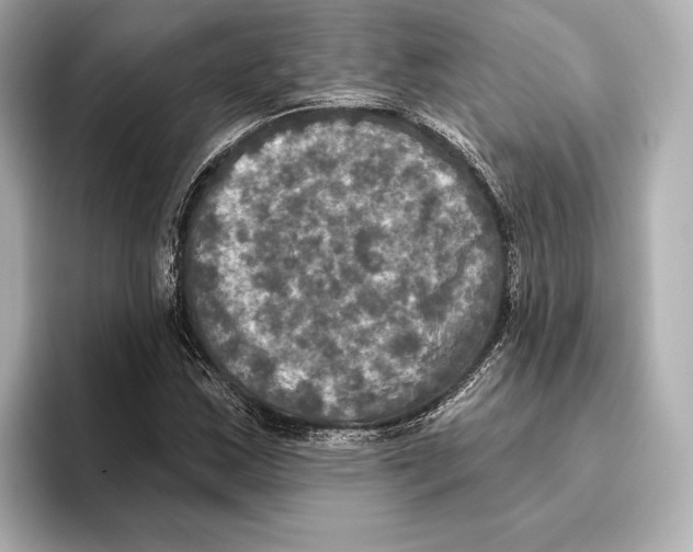 X0000095681163200802051245