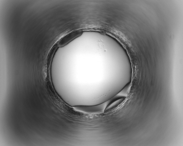 X0000095681165200802051245