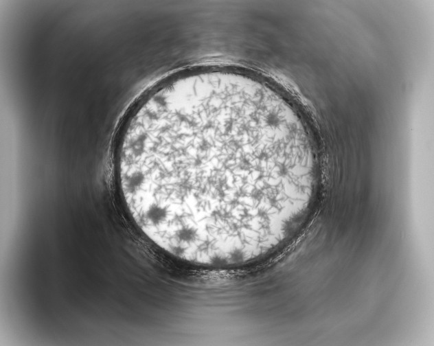 X0000095681167200802051245