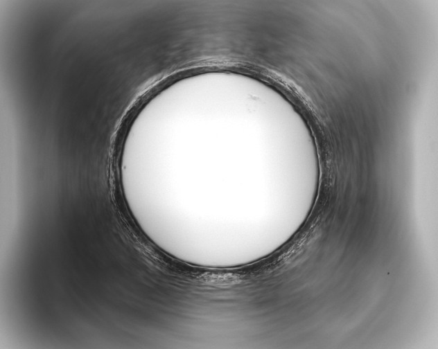 X0000095681168200802051245