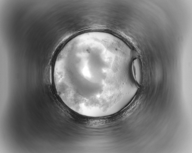 X0000095681171200802051245