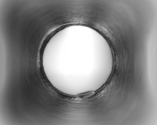 X0000095681172200802051245