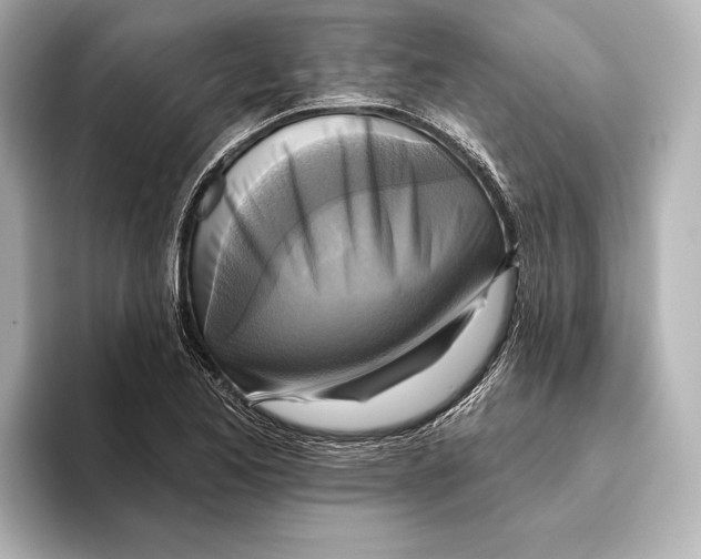 X0000095681173200802051245