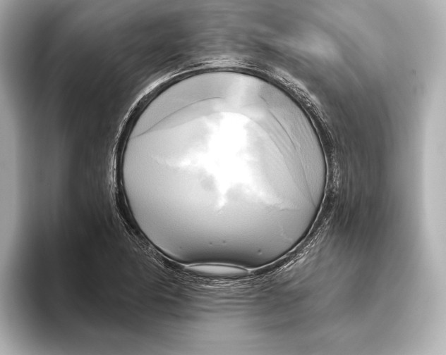 X0000095681174200802051245