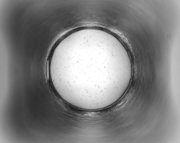 X0000095681175200802051245