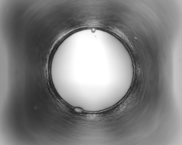 X0000095681176200802051245