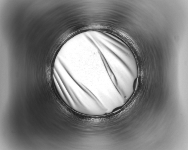 X0000095681177200802051245