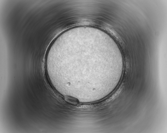 X0000095681178200802051245