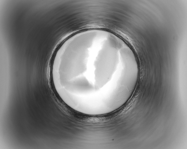 X0000095681179200802051245