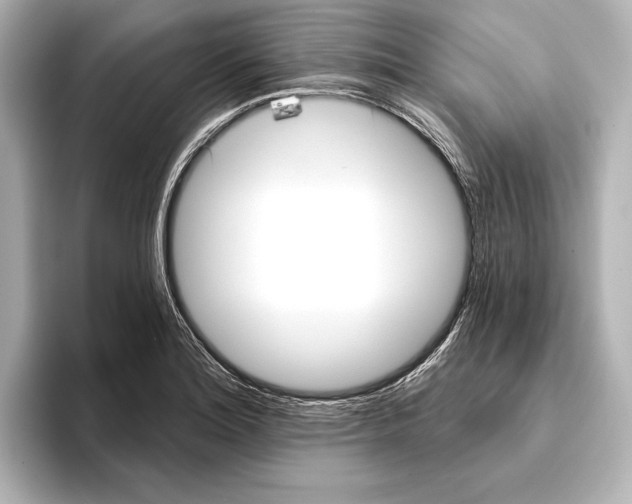 X0000095681180200802051245