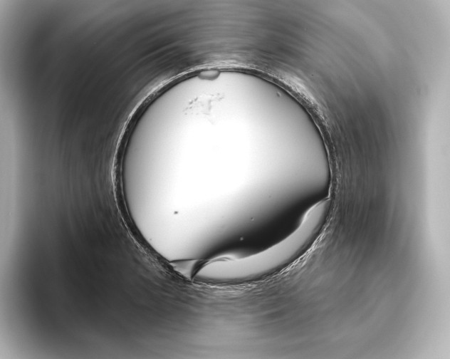 X0000095681181200802051245