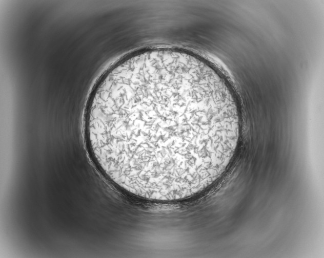 X0000095681183200802051245