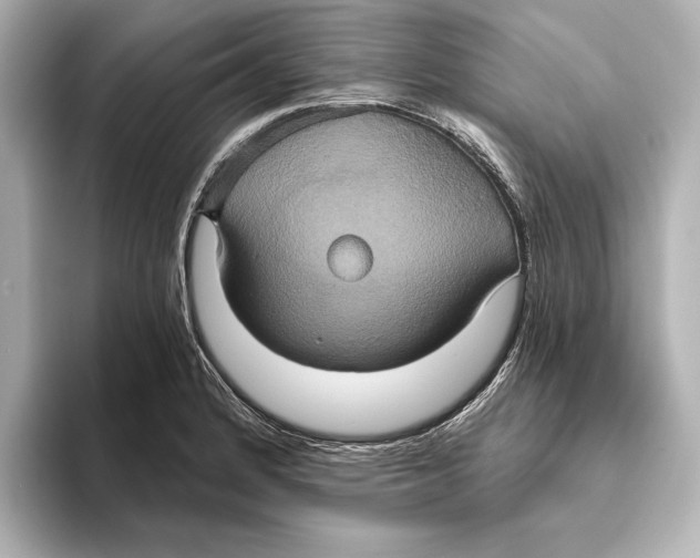 X0000095681184200802051245