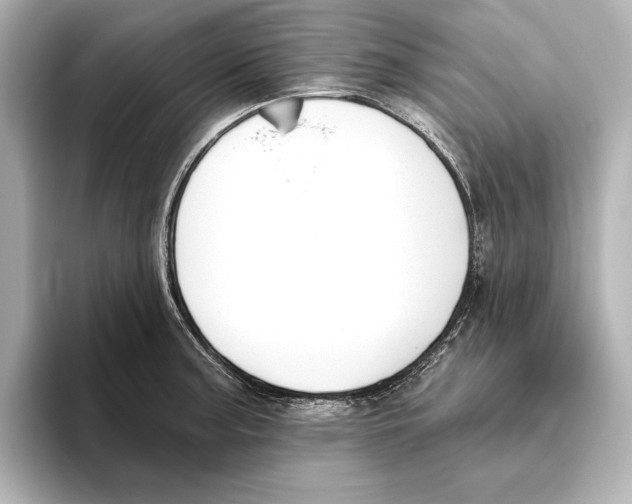 X0000095681187200802051245