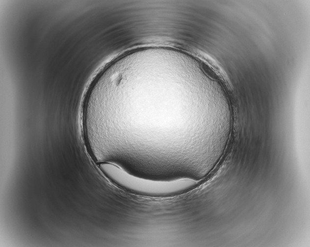 X0000095681188200802051245