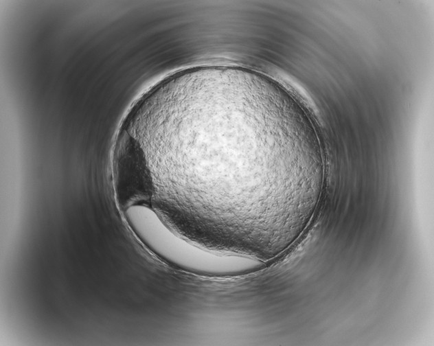 X0000095681192200802051245