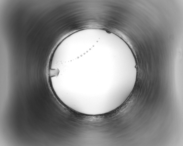 X0000095681195200802051245