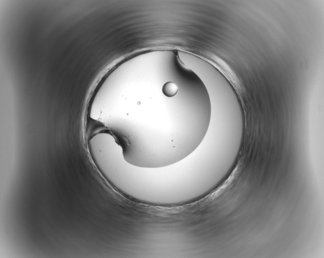 X0000095681196200802051245