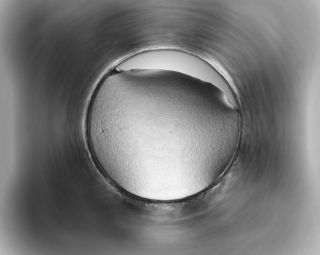 X0000095681197200802051245