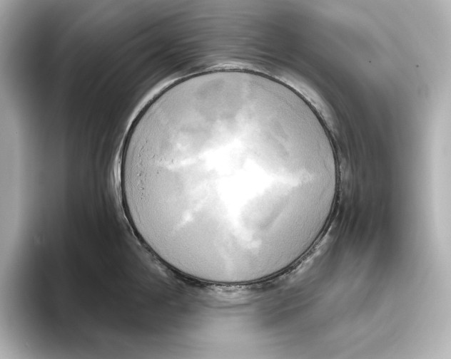 X0000095681198200802051244