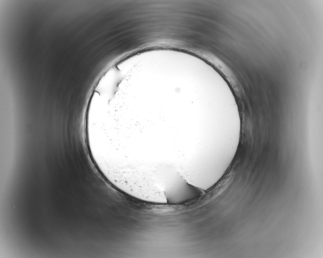 X0000095681199200802051244