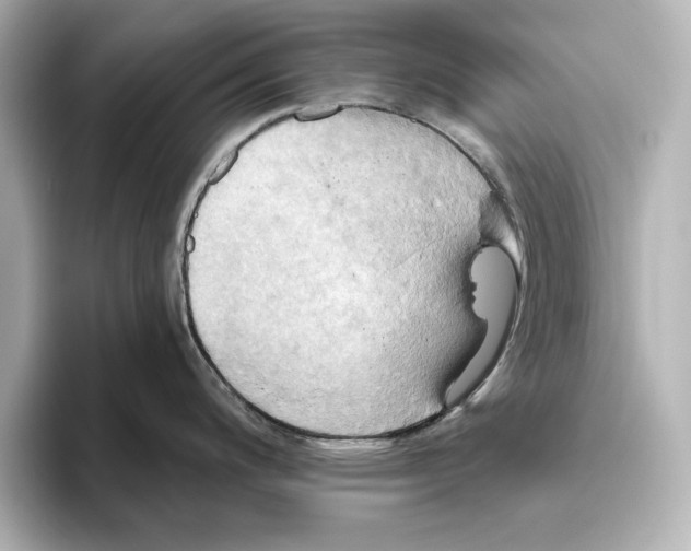 X0000095681200200802051244