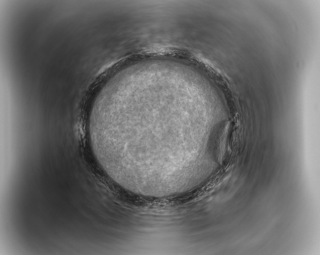 X0000095681206200802051244