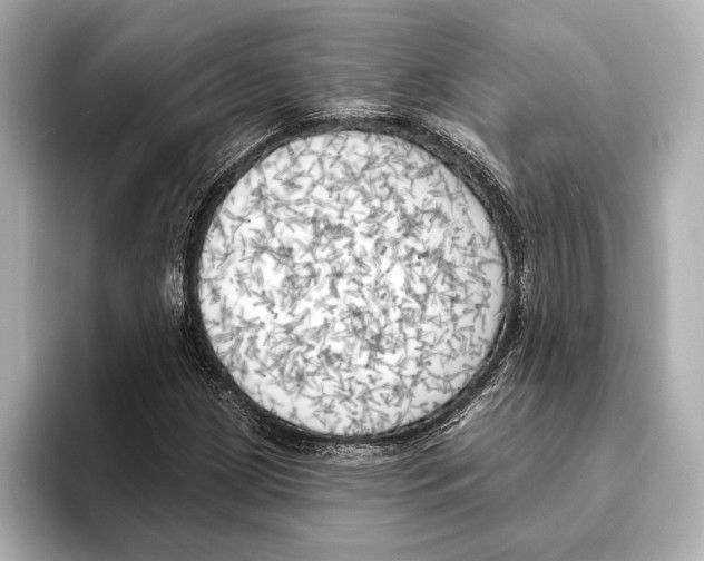 X0000095681209200802051244