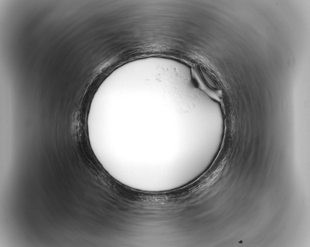 X0000095681210200802051244